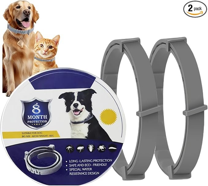 Pet protection collar two pack